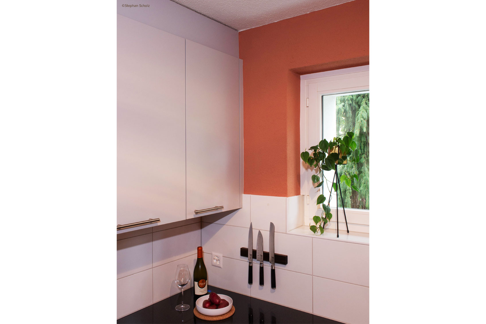Design couleur Le Corbusier cuisine couleur murale Photo Stephan Scholz
